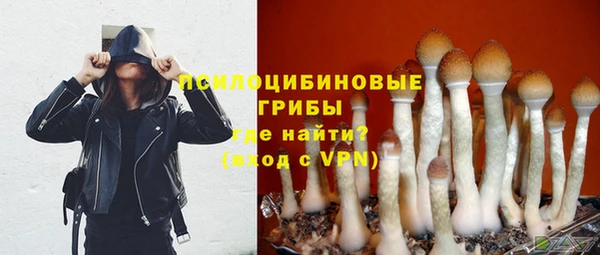 Альфа ПВП Богородицк