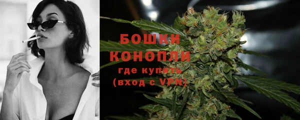 spice Сосновоборск