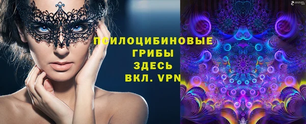 spice Сосновый Бор